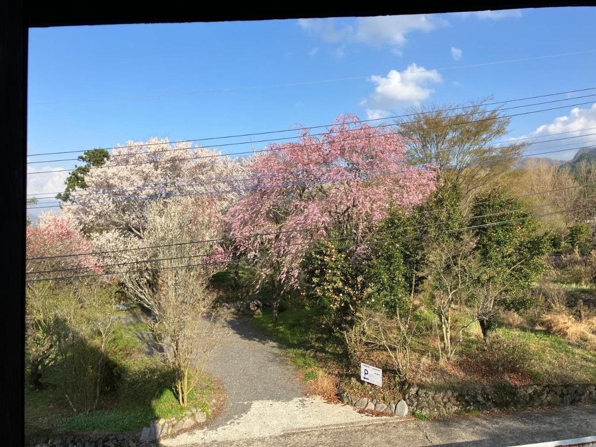 お宿でん吉 Minamiaso المظهر الخارجي الصورة