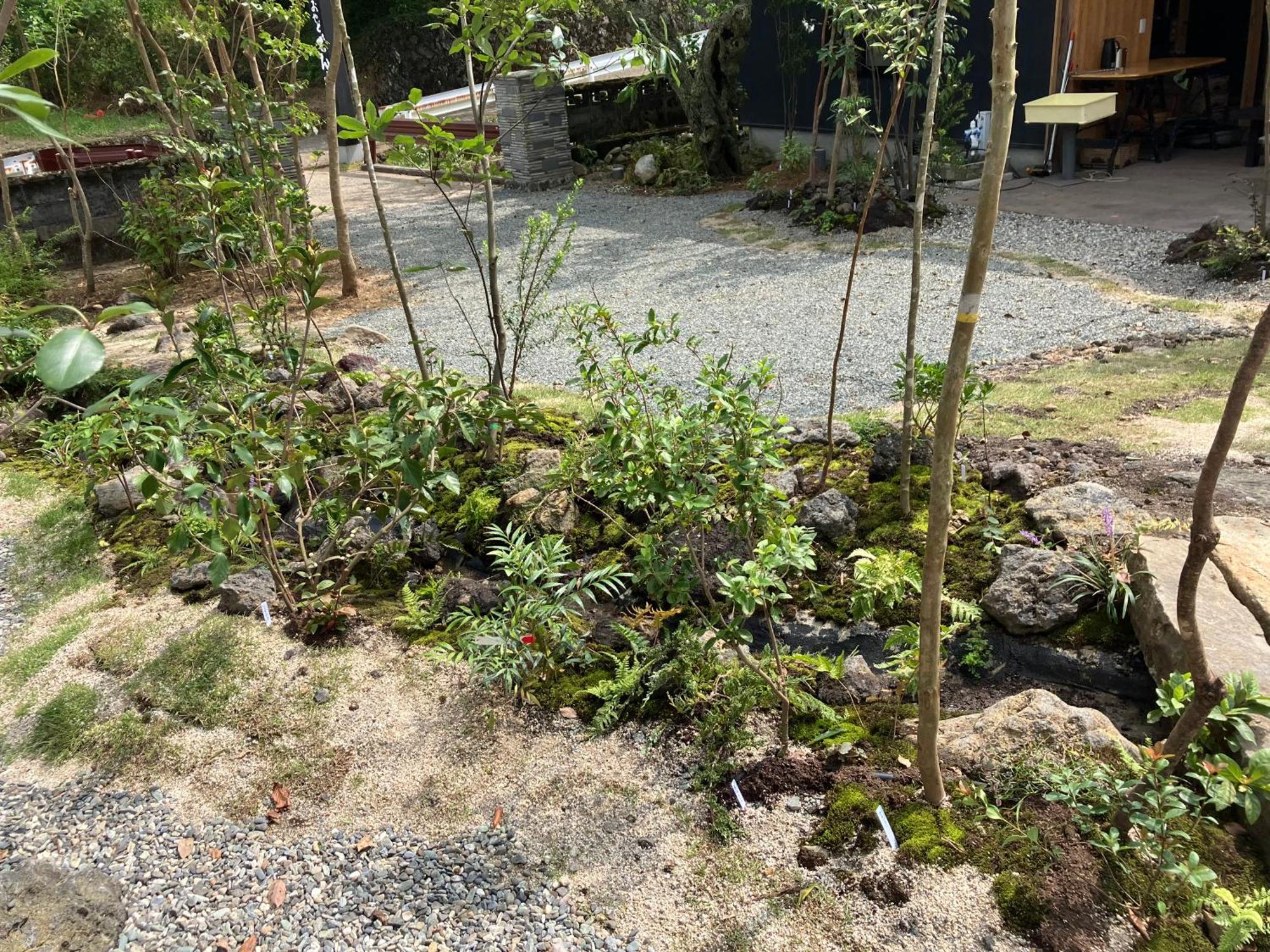 お宿でん吉 Minamiaso المظهر الخارجي الصورة